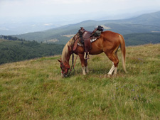 Bulgaria-Mountains-Across the Central Balkan